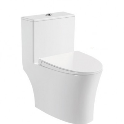 Modern design good quality ceramic toilet Hilton Washdown one piece toilet