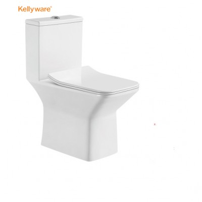 Sanitary Ware Toilet Arrow One Piece Sale Soft Cover Seat Ceramic  toilet for Bathroom