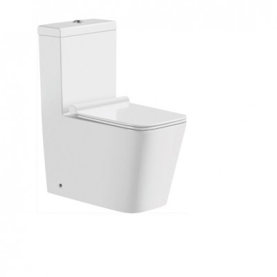 Two piece washdown ceramic flusing toilet P-trap sanitarios retrete WC