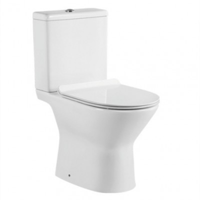 Two piece washdown Rimless creamic flushing toilet Porto